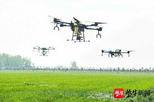 国产小型无人机打靶视频,展现我国无人机技术新突破