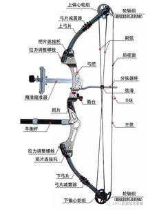 国产复合弓试射视频教学,新手入门教程与技巧解析